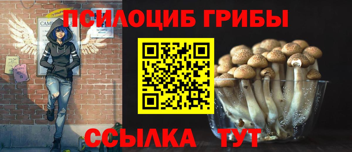 Галлюциногенные грибы Psilocybine cubensis  магазин    Новочебоксарск  Вход с VPN 